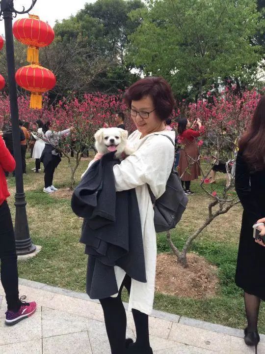 58歲的她，自駕房車旅居，一人兩犬，活成了自己喜歡的樣子