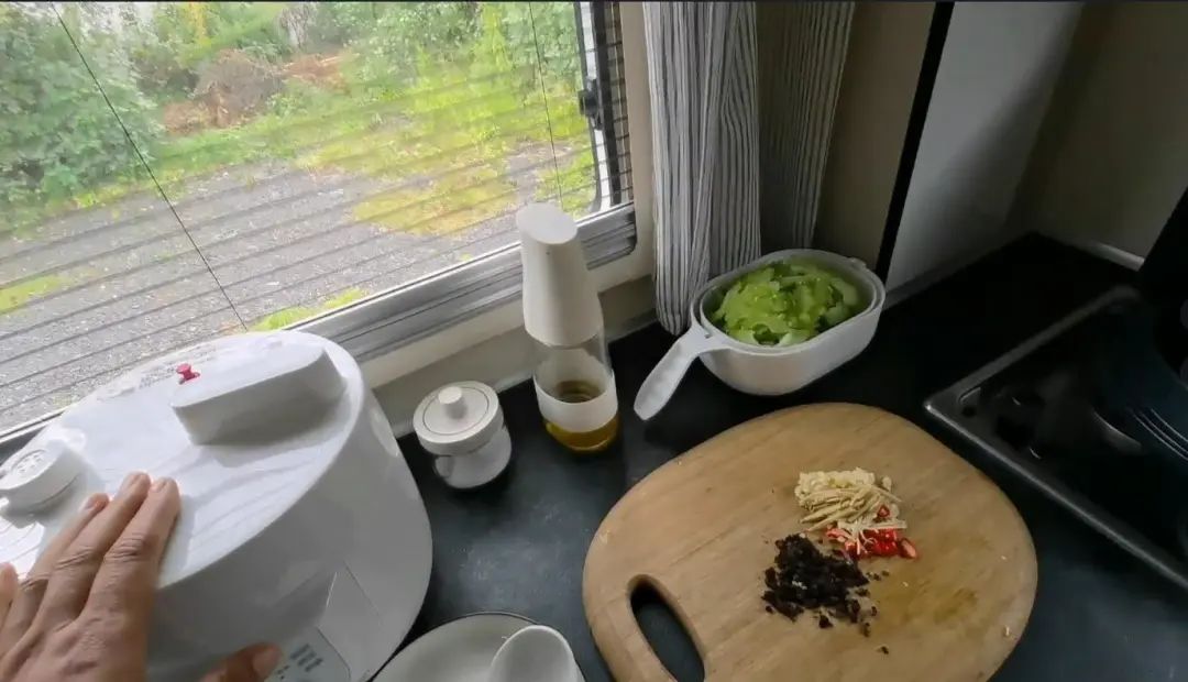 58歲的她，自駕房車旅居，一人兩犬，活成了自己喜歡的樣子